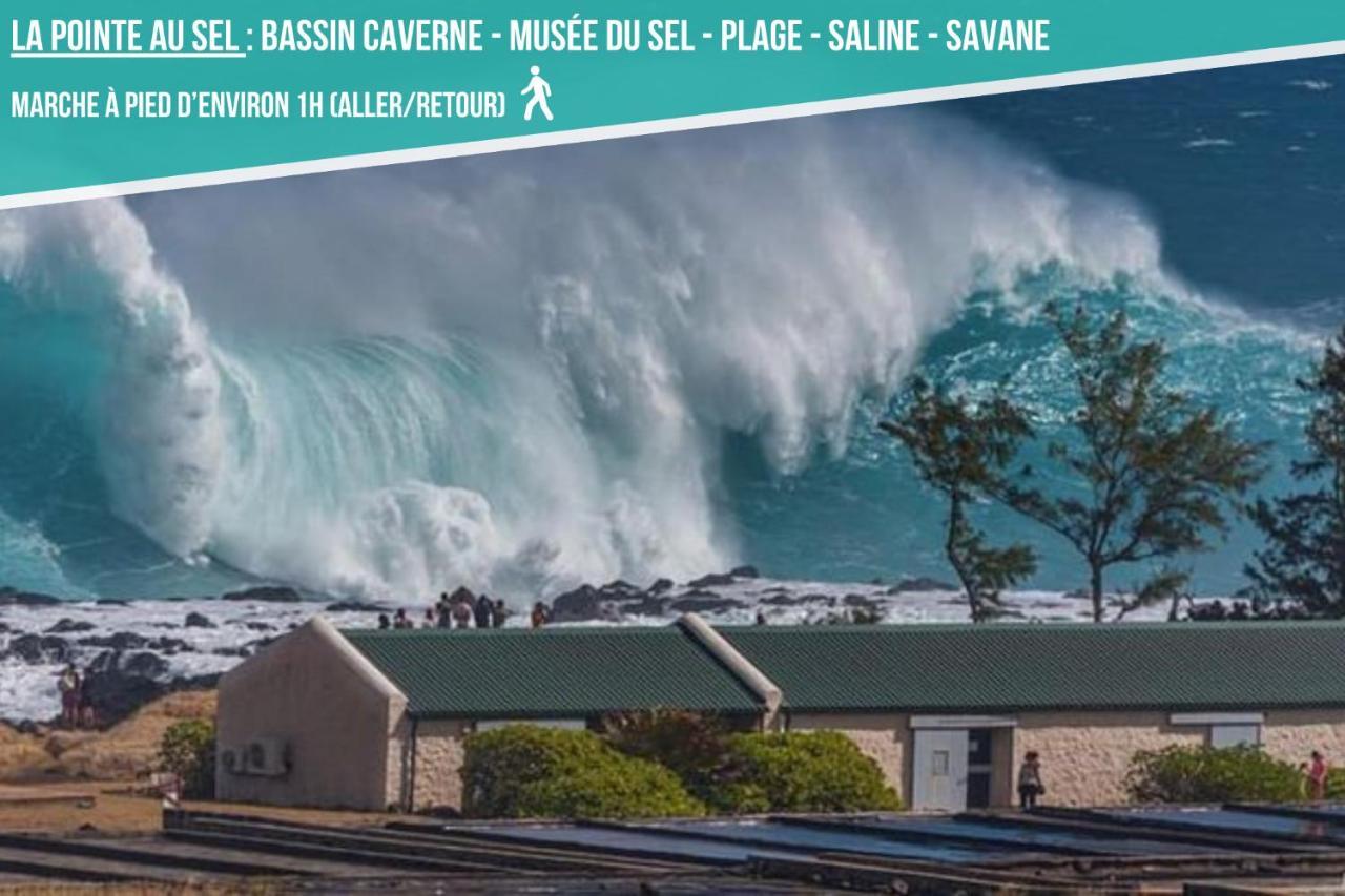 Ti Case Fleurie * Piscine * Jardin Tropical Saint-Leu Luaran gambar